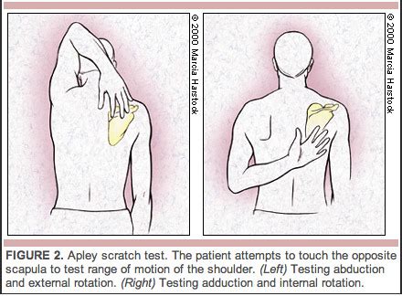 apley shoulder blade scratch test